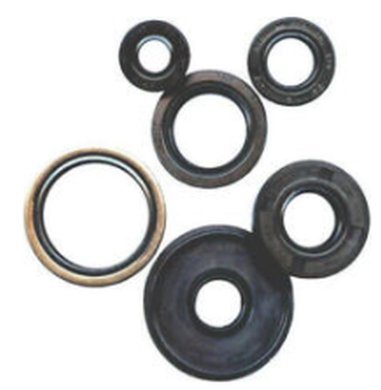 Winderaxis(vertex) engine bearing kit HONDA CRF250L 13-22, CRF250L abs 17-22, CRF250RL rally 17-21, CRF300L 21-22 (822391)