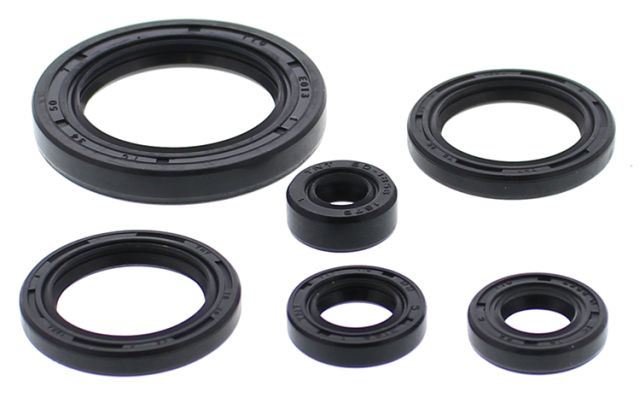 Winderaxis(vertex) engine bearing kit HONDA TRX650 rincon 03-05, TRX680 rincon 06-21 (822978)