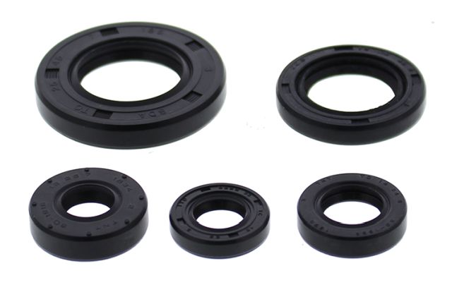 Winderaxis(vertex) engine bearing kit HONDA TRX500FM 12-13, TRX500FM irs 15-19, TRX500FM solid axle 14-19, TRX500FPM 12-13, TRX520FM irs 20-21, TRX520FM solid axle 20-21 (822990)