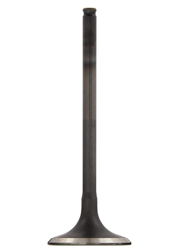 Exhaust valve VERTEX 8400002-5