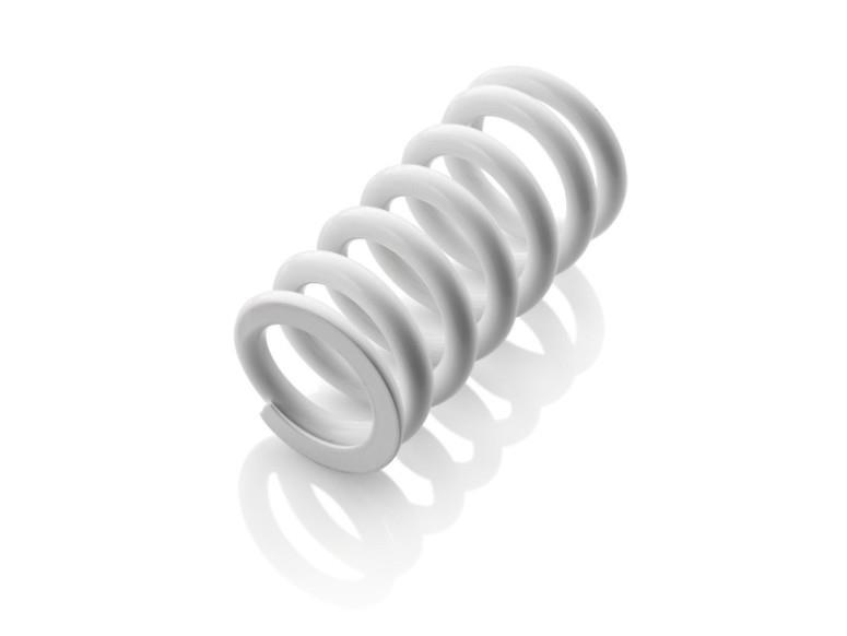 Spring shock absorbers rear  (center) WP 91010350