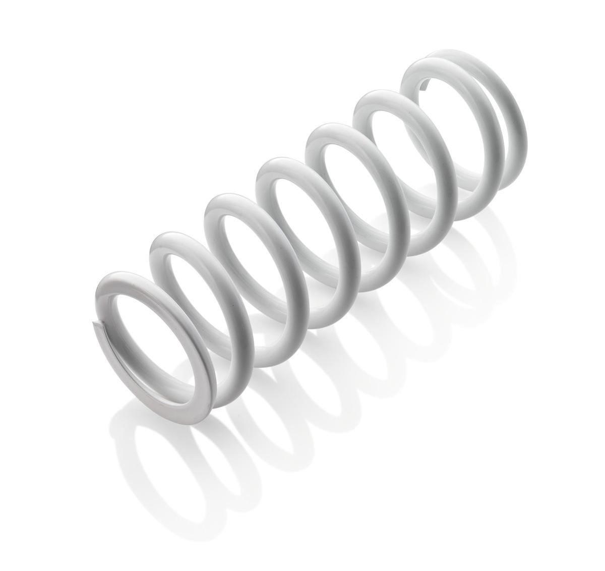 Spring shock absorbers rear (center) WP 91210126