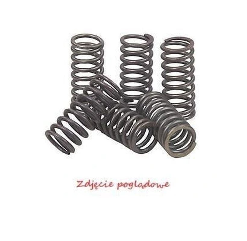 Clutch springs BRONCO AT-03651A