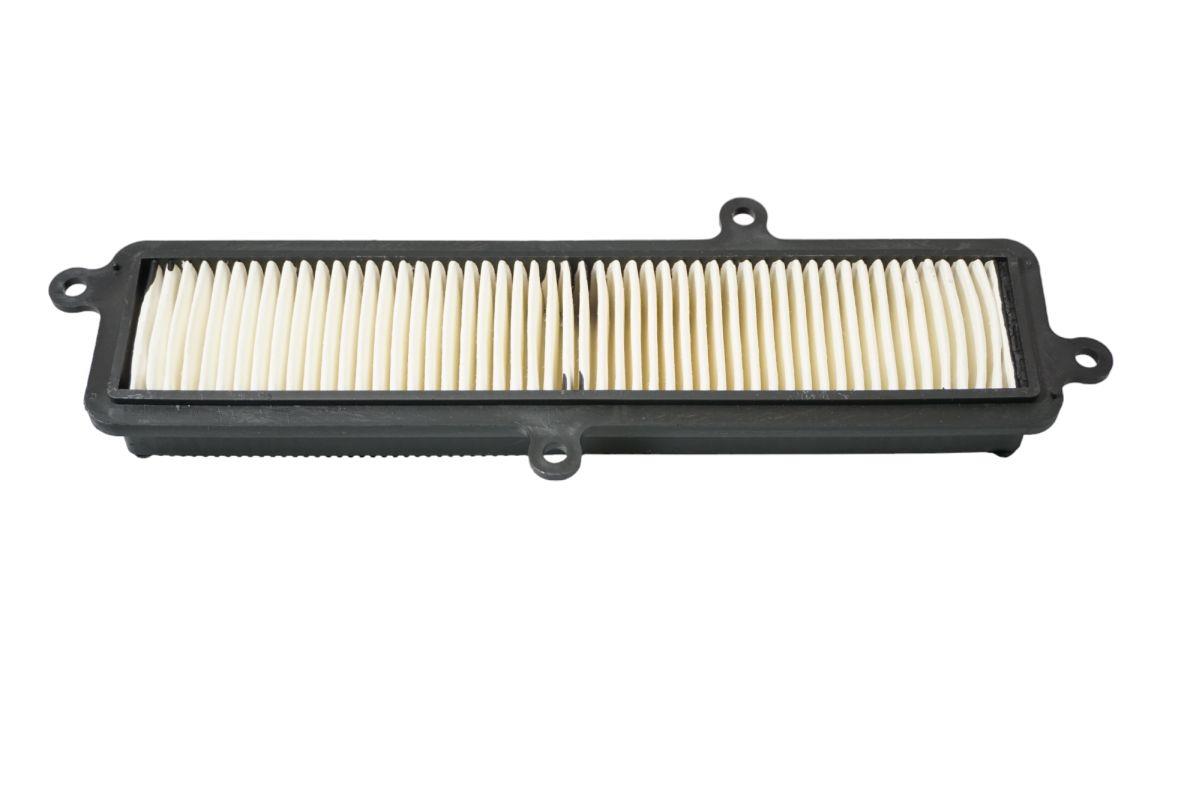 Air filter BIKETEC PARTS BT134226 (13780-03H00-000, HFA3103)