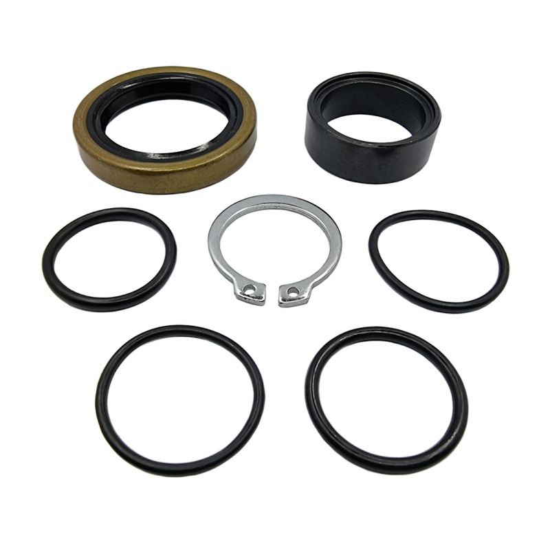 Camshaft repair kit BEARING WORX CRK60002