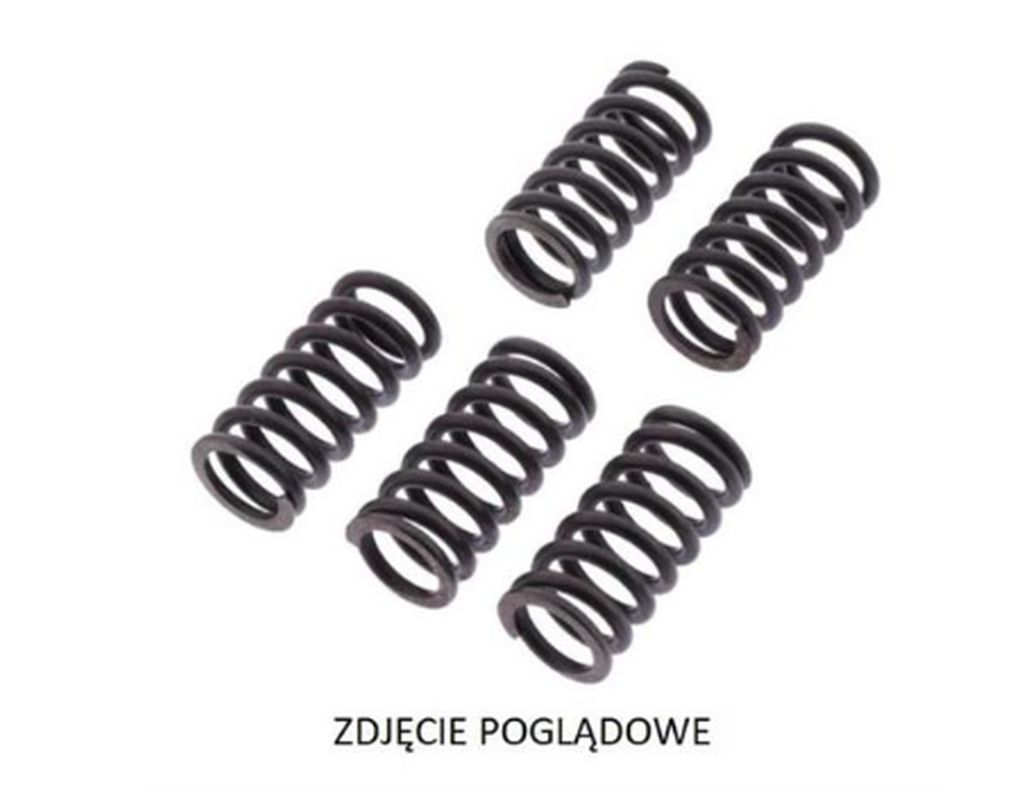 Spojkové pružiny SUZUKI RM 250 87, RM 80 87-88