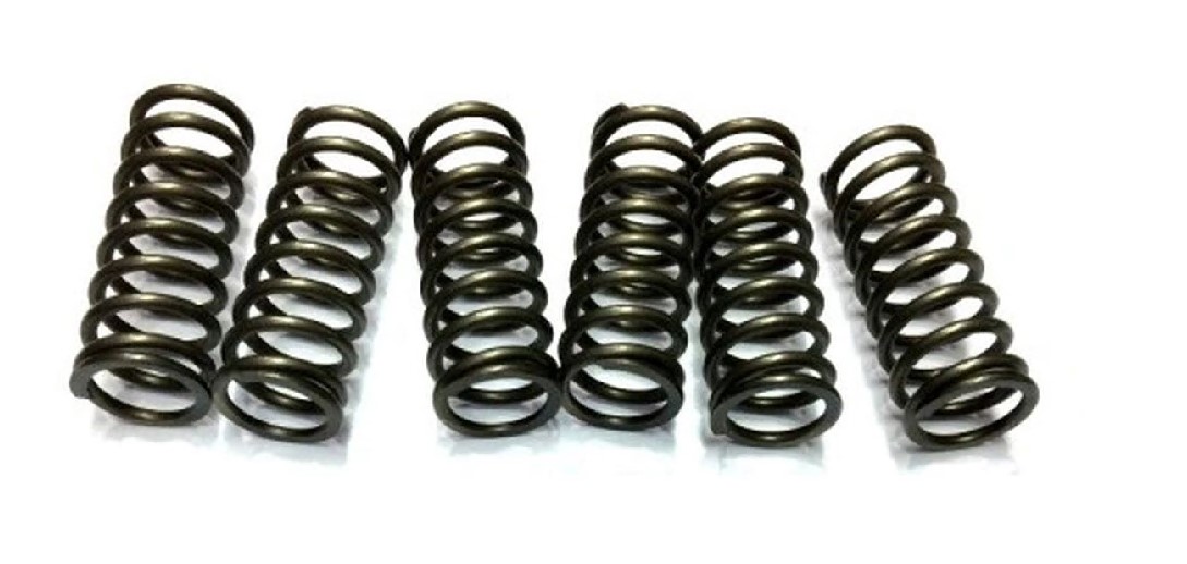 Clutch springs JR EBS015
