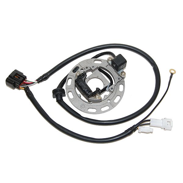 Alternator winding (stator) ELECTROSPORT ESC1370