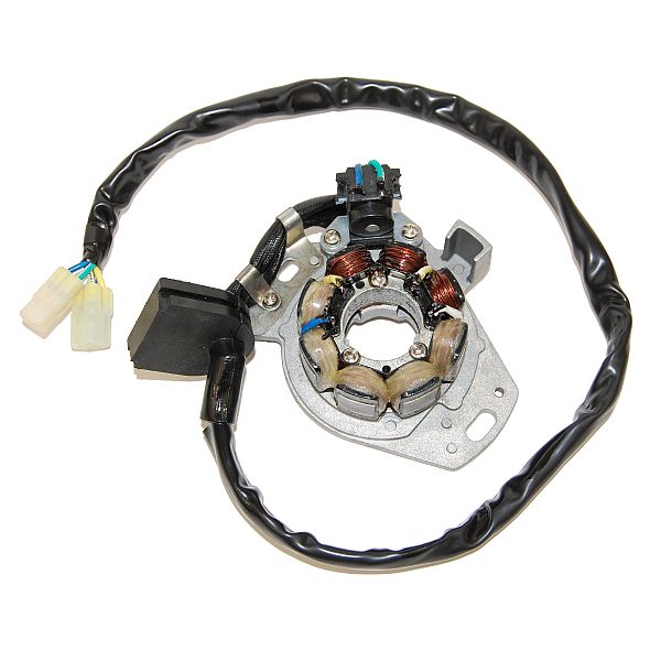 Alternator winding (stator) ELECTROSPORT ESC970
