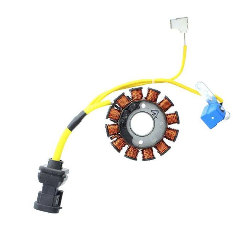 ELECTROSPORT alternator winding (stator) APRILIA / DERBI / GILERA / italist / MALAGUTI / PIAGGIO / VESPA 125/150/200ccm (ESG194)