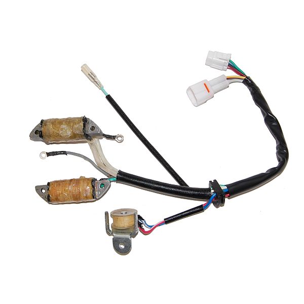 ELECTROSPORT alternator winding (stator) with lights YAMAHA yfm 50 raptor (04-08), grizzly (05-06), yfm 80 badger (92-00), grizzly (07-08) (ESL172)