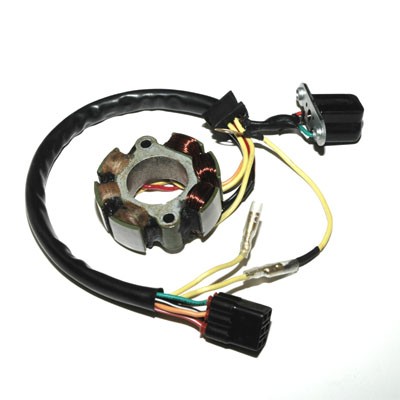 Alternator winding (stator) with lights ELECTROSPORT ESL405