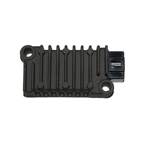 Voltage regulator ELECTROSPORT ESR080