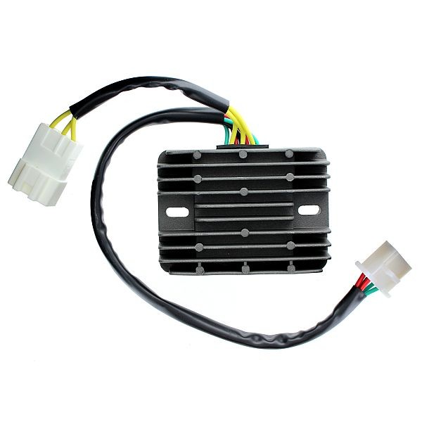 Voltage regulator ELECTROSPORT ESR089