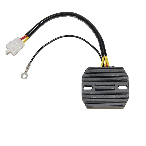 Voltage regulator ELECTROSPORT ESR090