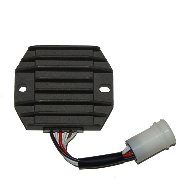 Voltage regulator ELECTROSPORT ESR108