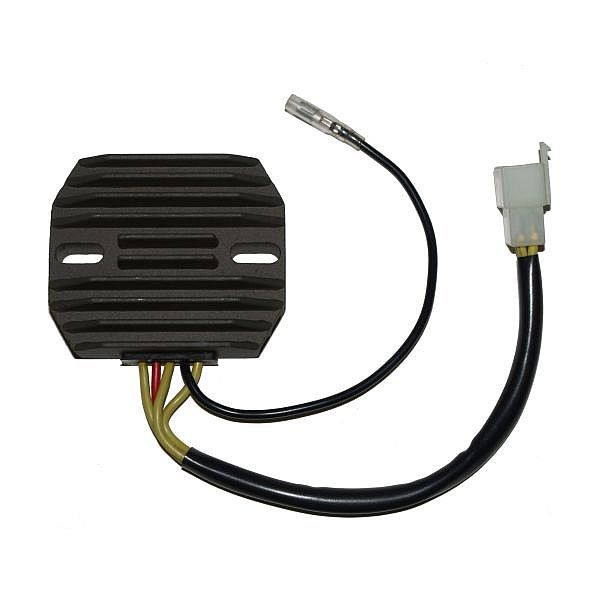 Voltage regulator ELECTROSPORT ESR110