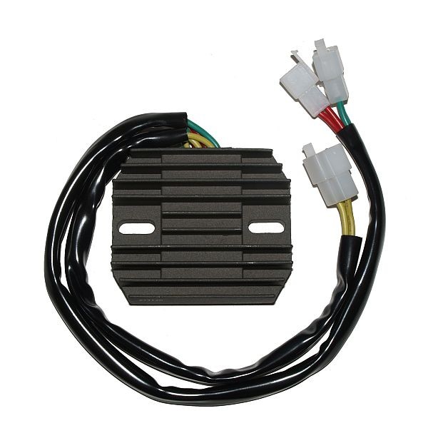 Voltage regulator ELECTROSPORT ESR120