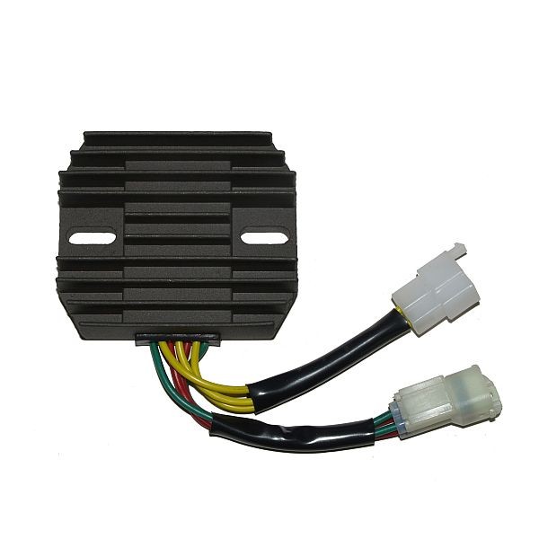 Voltage regulator ELECTROSPORT ESR124
