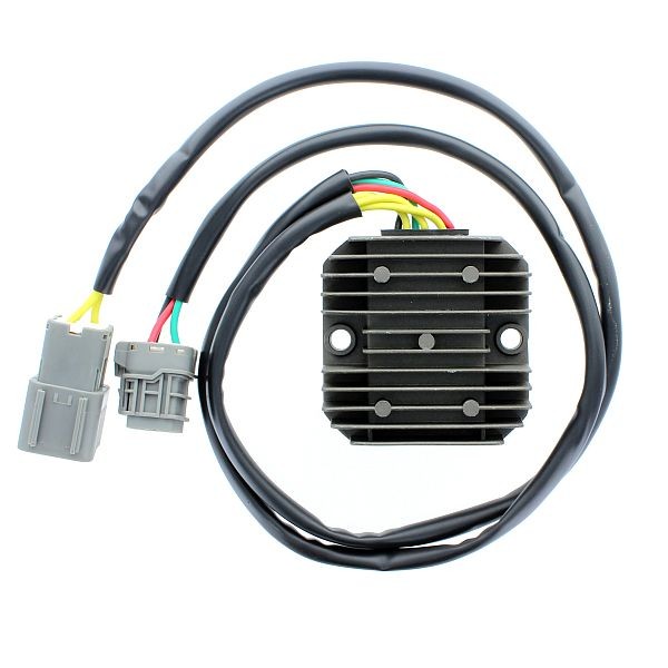 Voltage regulator ELECTROSPORT ESR171