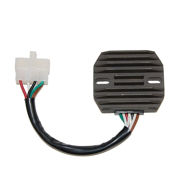Voltage regulator ELECTROSPORT ESR320