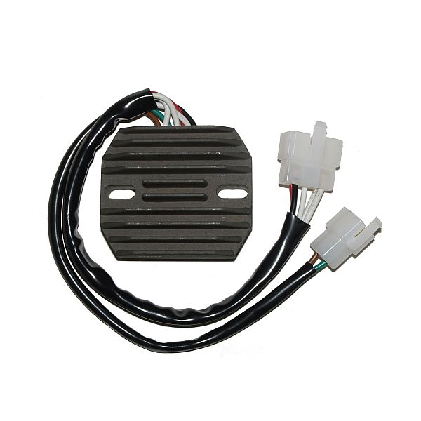 Voltage regulator ELECTROSPORT ESR350