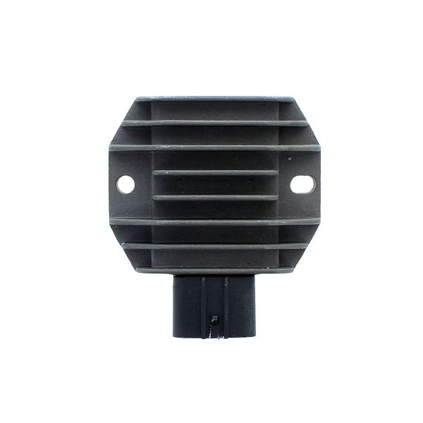 Voltage regulator ELECTROSPORT ESR365