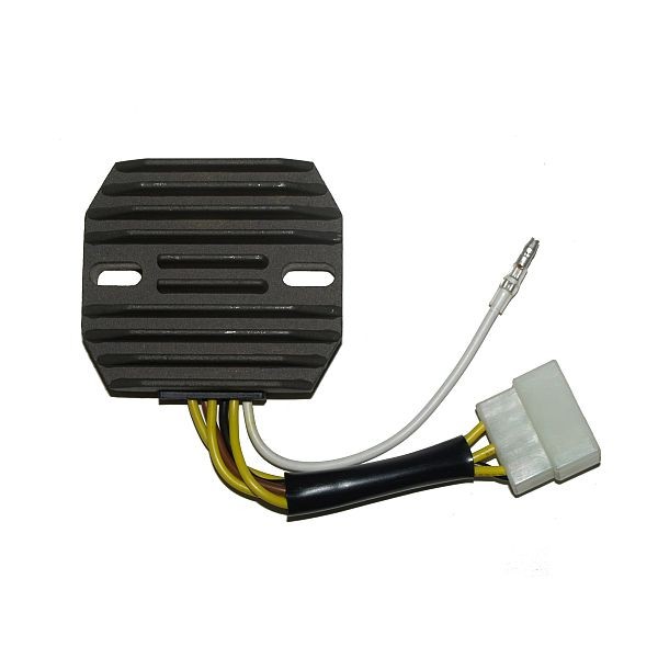 Voltage regulator ELECTROSPORT ESR370