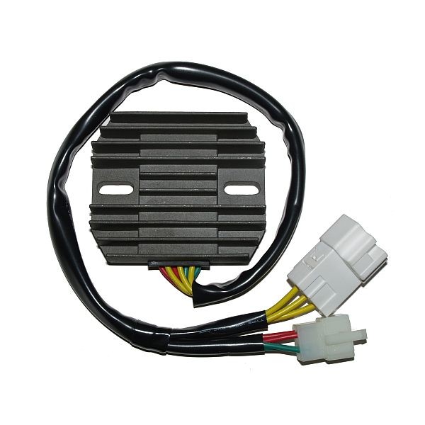 Voltage regulator ELECTROSPORT ESR436
