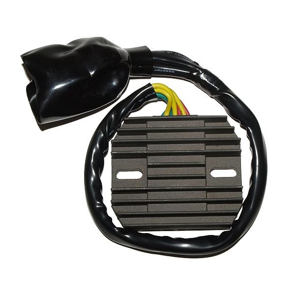 Voltage regulator ELECTROSPORT ESR438