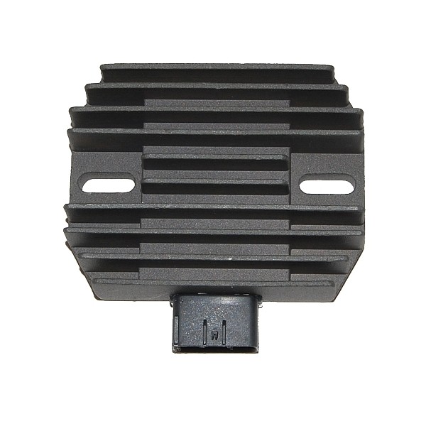 Voltage regulator ELECTROSPORT ESR440