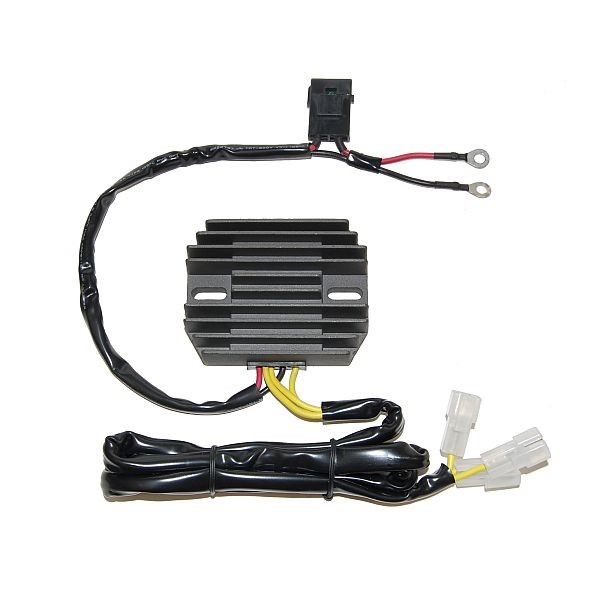 Voltage regulator ELECTROSPORT ESR449