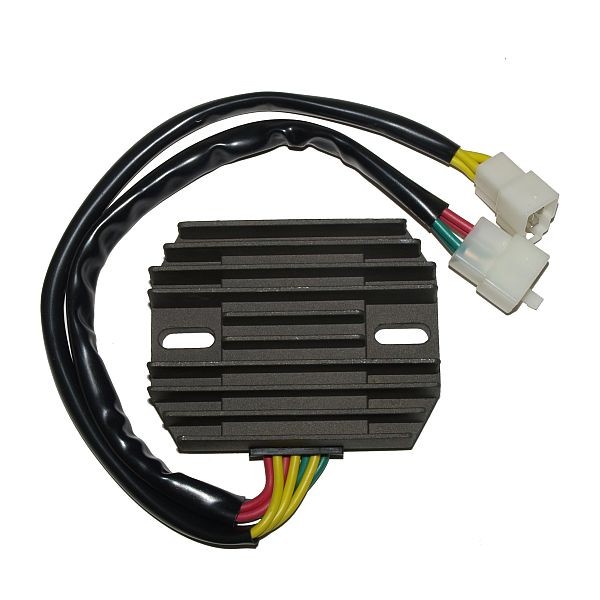Voltage regulator ELECTROSPORT ESR531