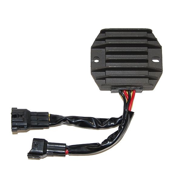 Voltage regulator ELECTROSPORT ESR541
