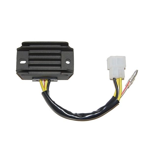 Voltage regulator ELECTROSPORT ESR600