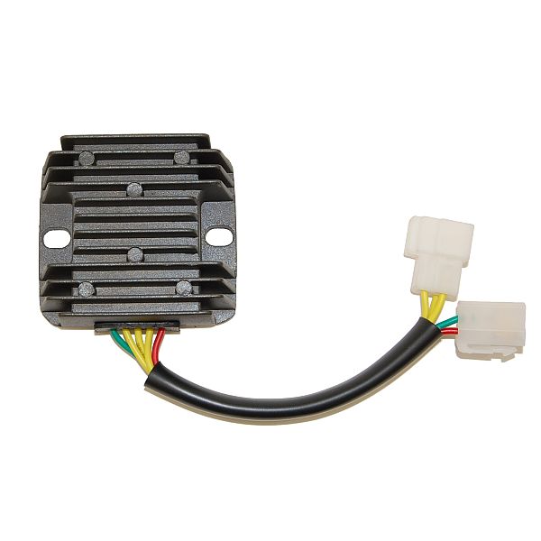 Voltage regulator ELECTROSPORT ESR612