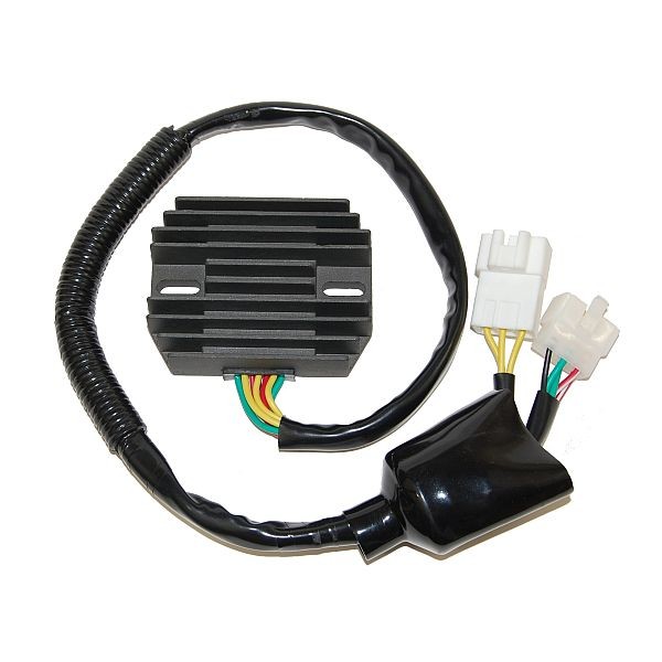 Voltage regulator ELECTROSPORT ESR685