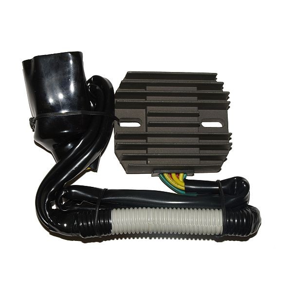 Voltage regulator ELECTROSPORT ESR690
