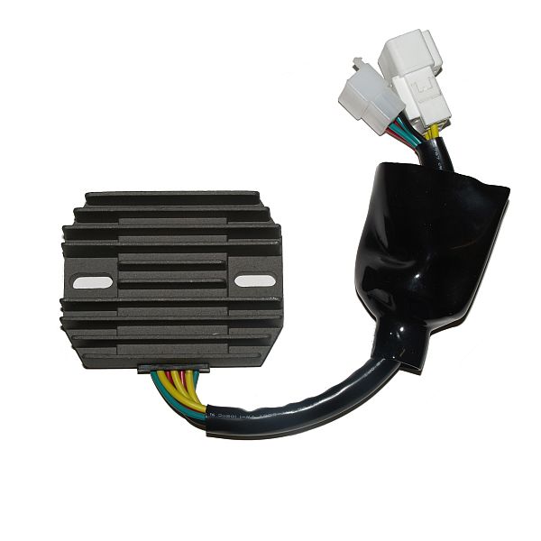 Voltage regulator ELECTROSPORT ESR691