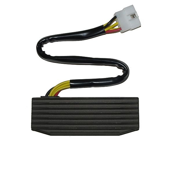 Voltage regulator ELECTROSPORT ESR751