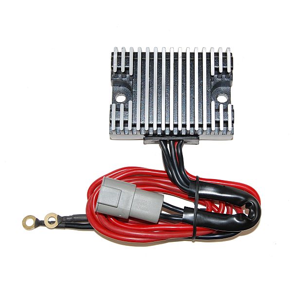 Voltage regulator ELECTROSPORT ESR850