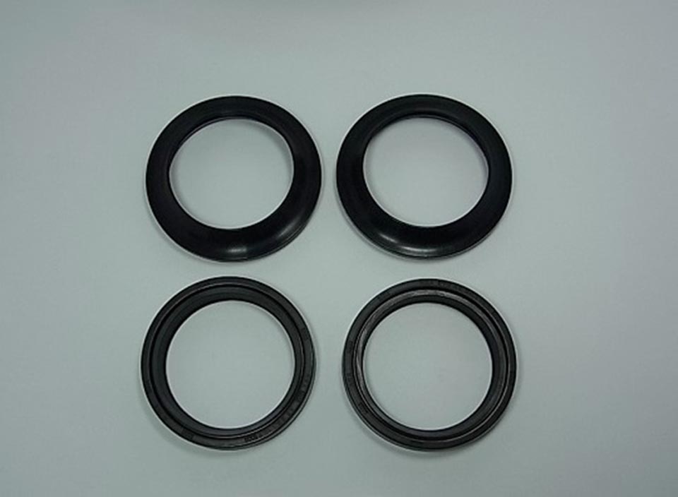 Front suspension seal and prachovky (complete) ( TOURMAX FSD-042R