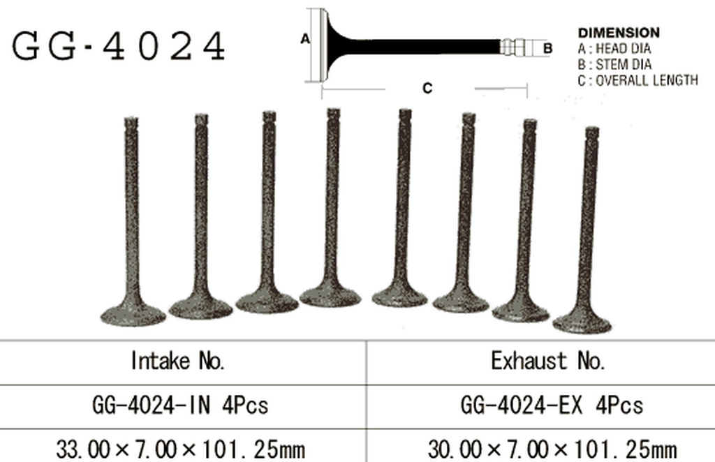 Intake valve VESRAH GG-4024-IN
