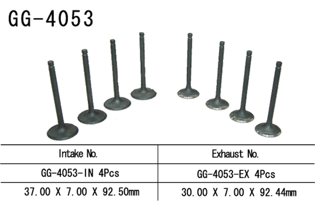 Intake valve VESRAH GG-4053-IN