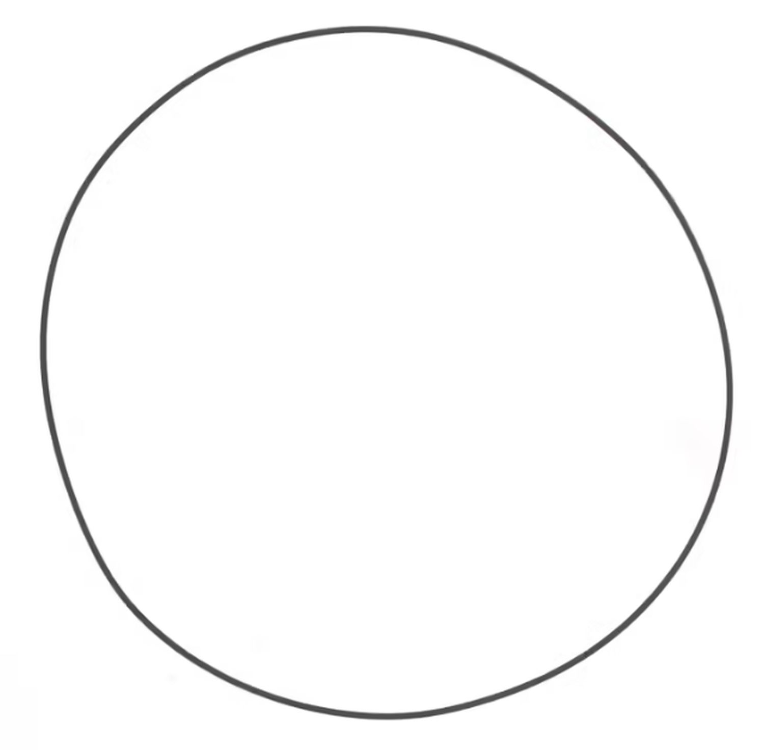 ATHENA těsnění vnějšího víka spojky (O-ring 143 x 2,5MM) SHERCO SE / SM 125 '25-'27 (OEM: 11670)