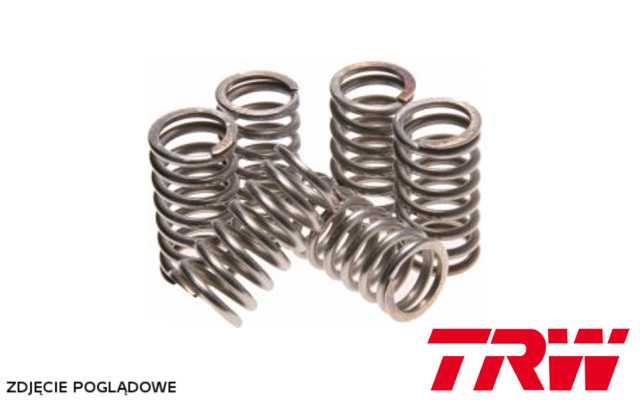 TRW ZF spojkové pružiny YAMAHA YZ 250 99-17, WRF 426 03-04, YZF 426 01-02, YZF 450 03-07, YZF 600 R6 03-05, TDM 850 96-01, (EBS092)