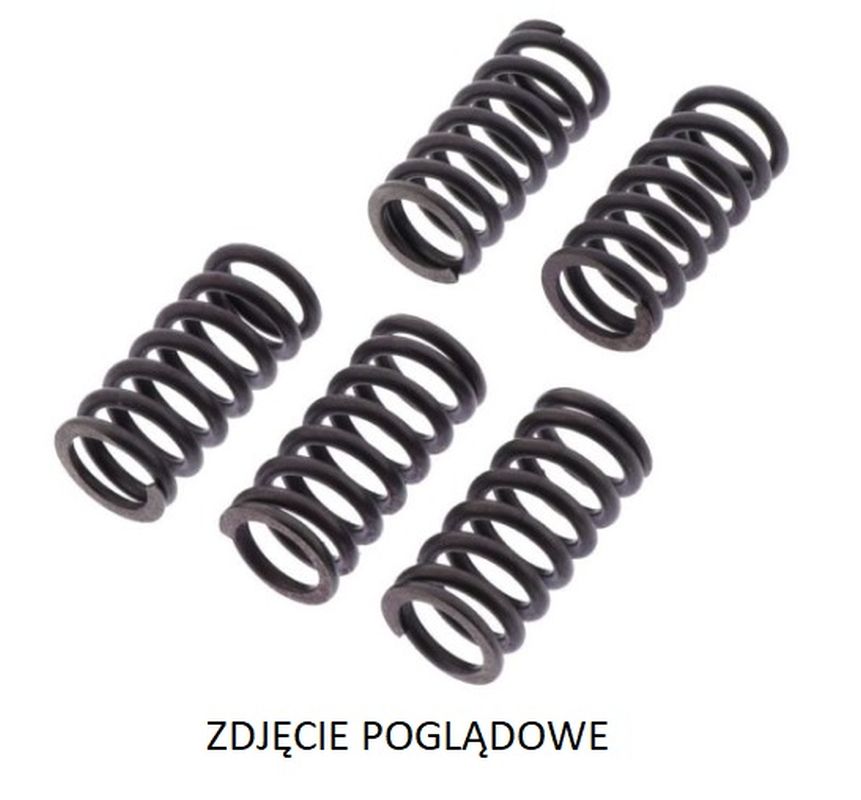 TRW ZF spojkové pružiny HONDA MSX 125 17-