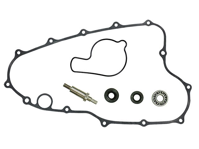 Water pump repair kit PSYCHIC MX-10200