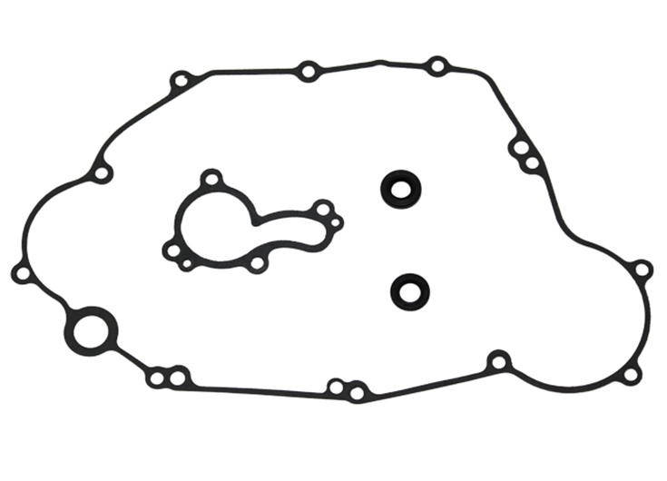 Water pump repair kit PSYCHIC MX-10209