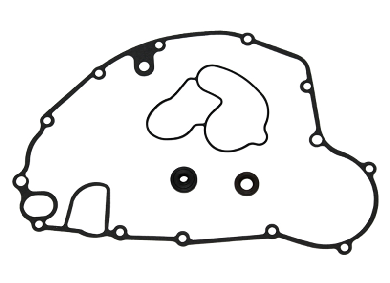 Water pump repair kit PSYCHIC MX-10213